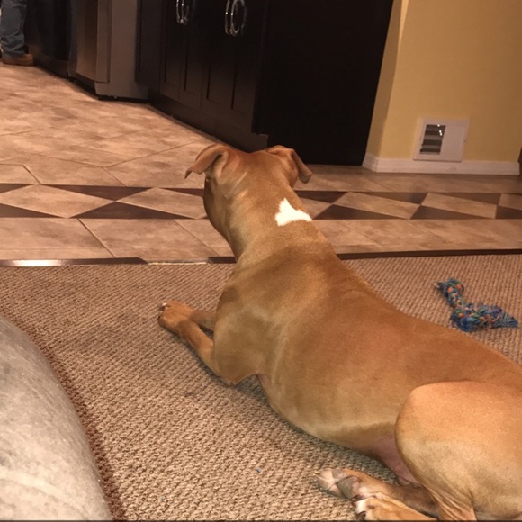 Meet your Posher, Paula - Picture 1 of 1